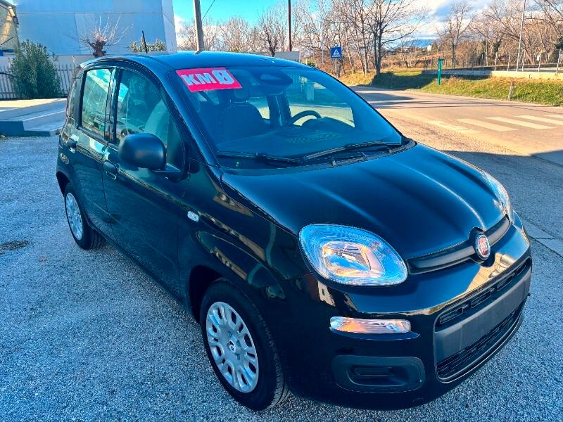 FIAT Panda 3ª serie Panda 1.0 FireFly S&S Hybrid