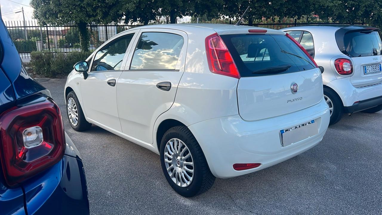 Fiat Punto 1.2 8V 5 porte Street NEOPATENTATI