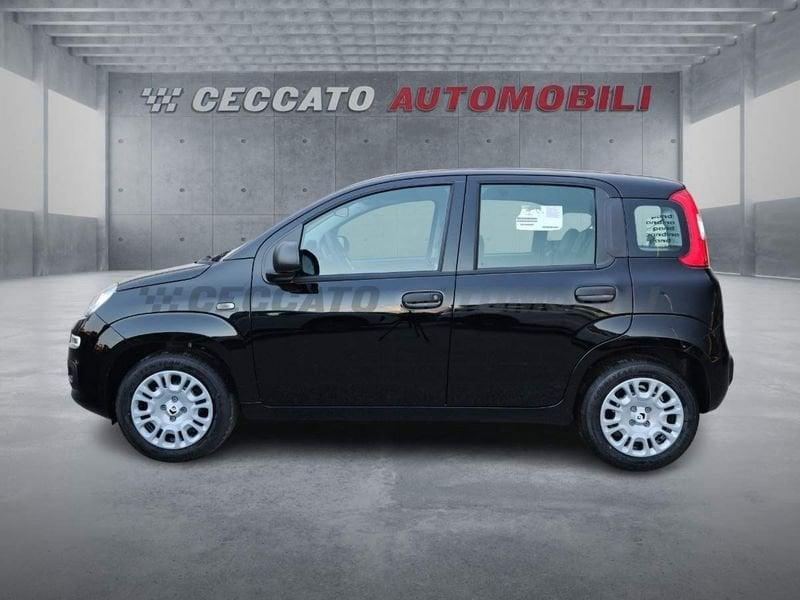 FIAT Pandina Pandina 1.0 65cv Hybrid Icon
