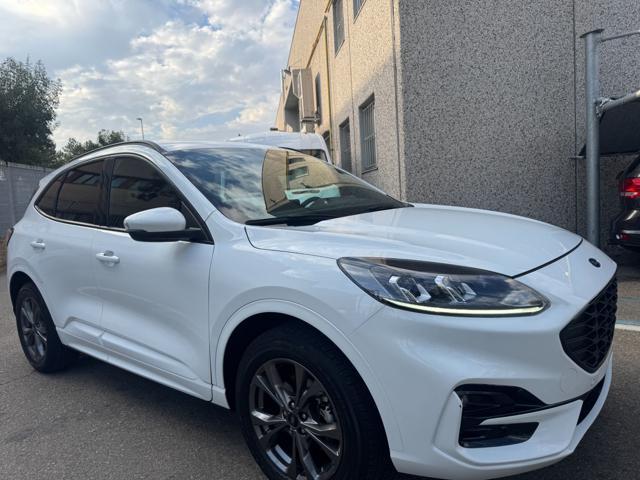 FORD Kuga 2.5 Plug In Hybrid 225 CV CVT ST-Line