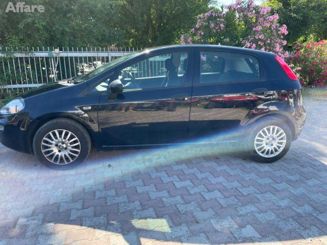 FIAT Punto 1.3 MJT II S&S 95 CV 5 porte Street