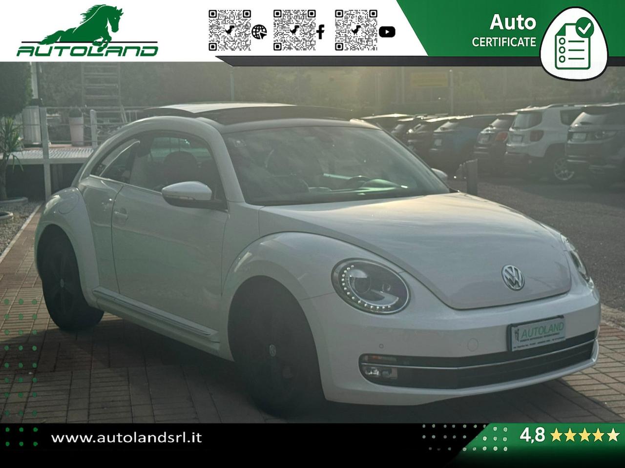 Volkswagen Maggiolino Maggiolino 1.6 tdi Design 105cv dsg