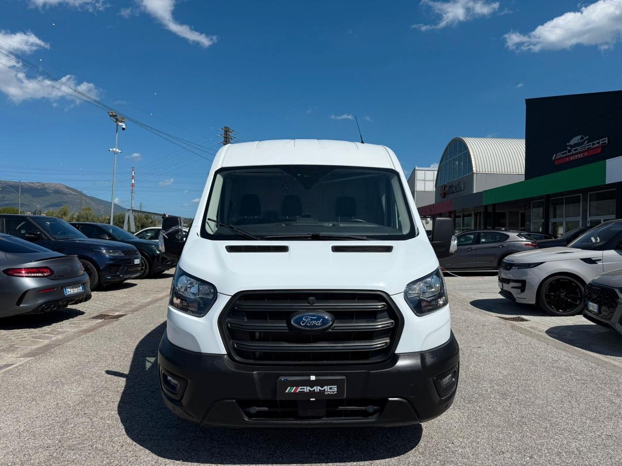Ford Transit 290 2.0TDCi Eco Blue PM-TM Furgone PREZZO ESCLUSO IVA (029)