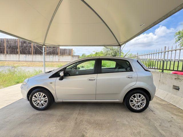 FIAT Punto 1.4 5 PORTE OK NEOPATENTATI GPL FINO AL 10/2032