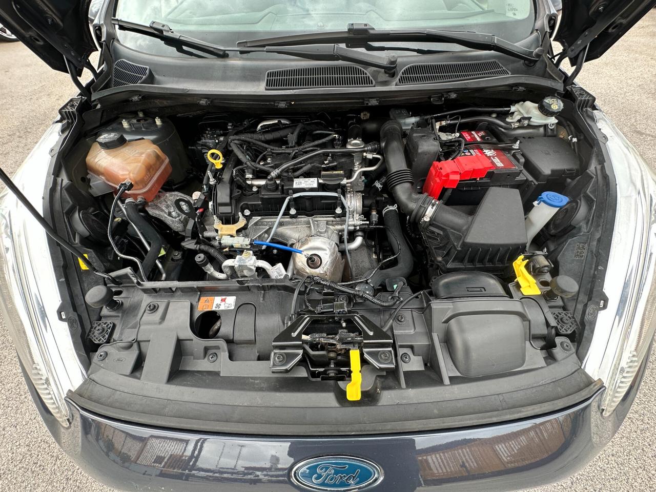 FORD Fiesta 1.0 80CV 5 porte Titanium