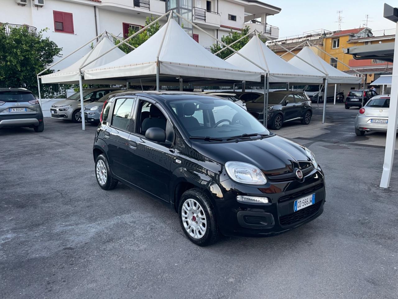 Fiat Panda 1.2 Easy 11/2020 KM 52.300 CERTIFICATI IN FATTURA!!!