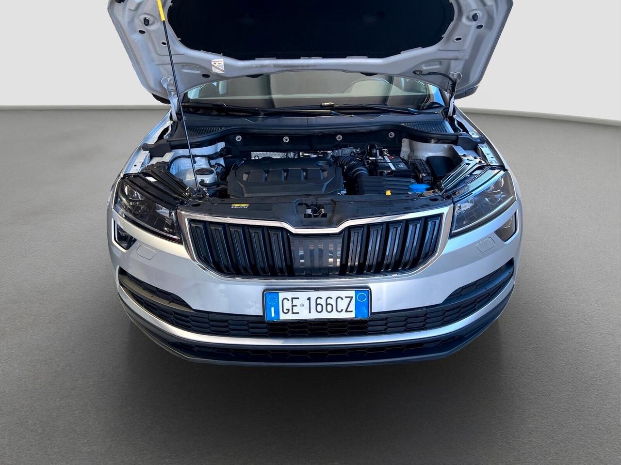 Skoda Karoq 2.0 TDI EVO SCR 115 CV DSG Executive