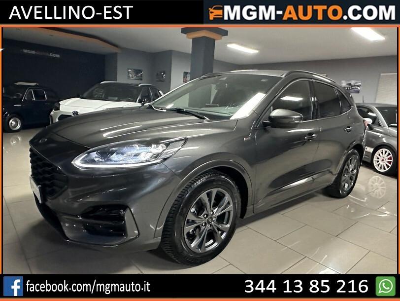 Ford Kuga 1.5 EcoBlue 120 CV aut. 2WD ST-Line X