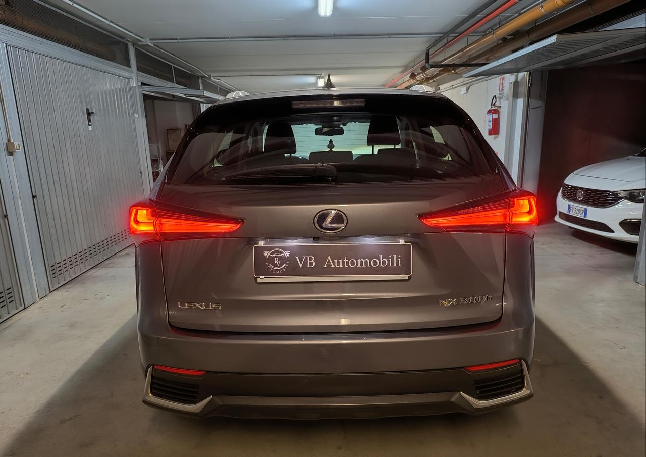 Lexus NX 300h Hybrid Business
