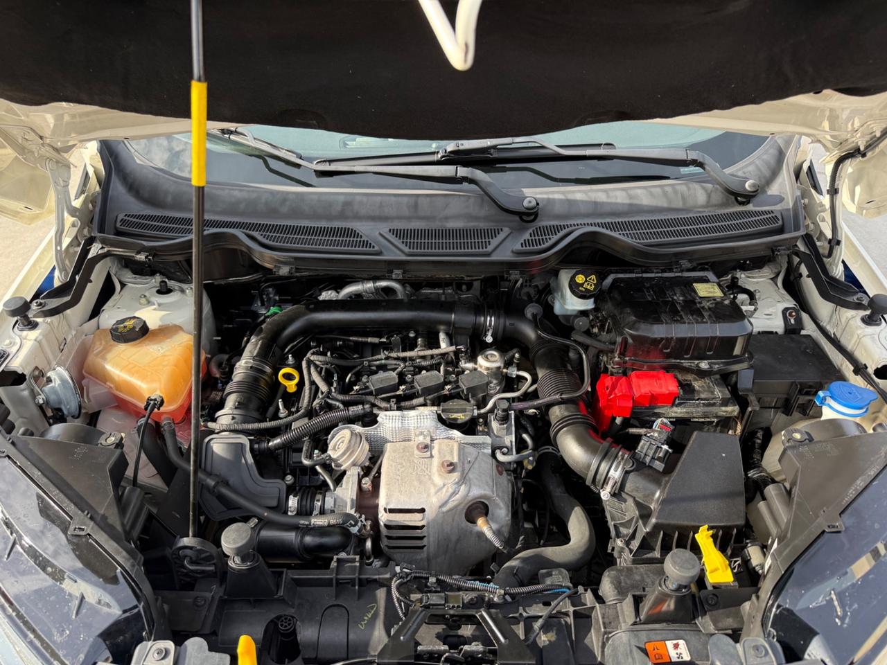 Ford EcoSport 1.0 EcoBoost 125 CV Titanium S