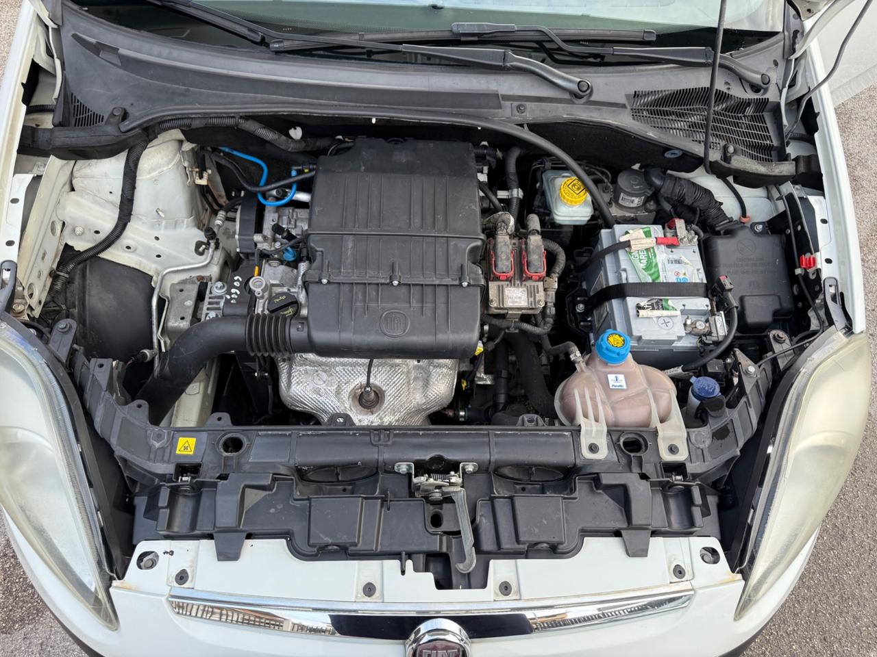 Fiat Punto Evo 1.2 5 porte S&S Dynamic