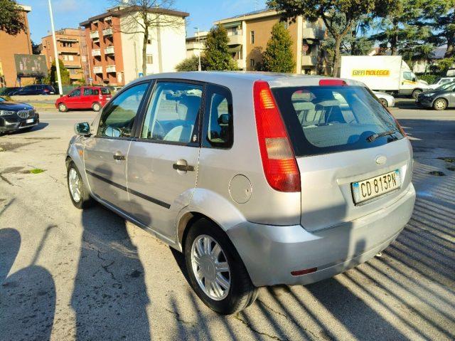 FORD Fiesta 1.4 16V 5p. Ghia Neopatentati