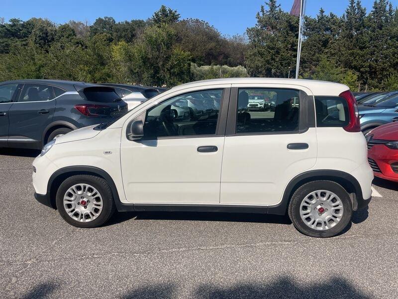 FIAT Panda New My23 1.0 70cv Hybrid Panda