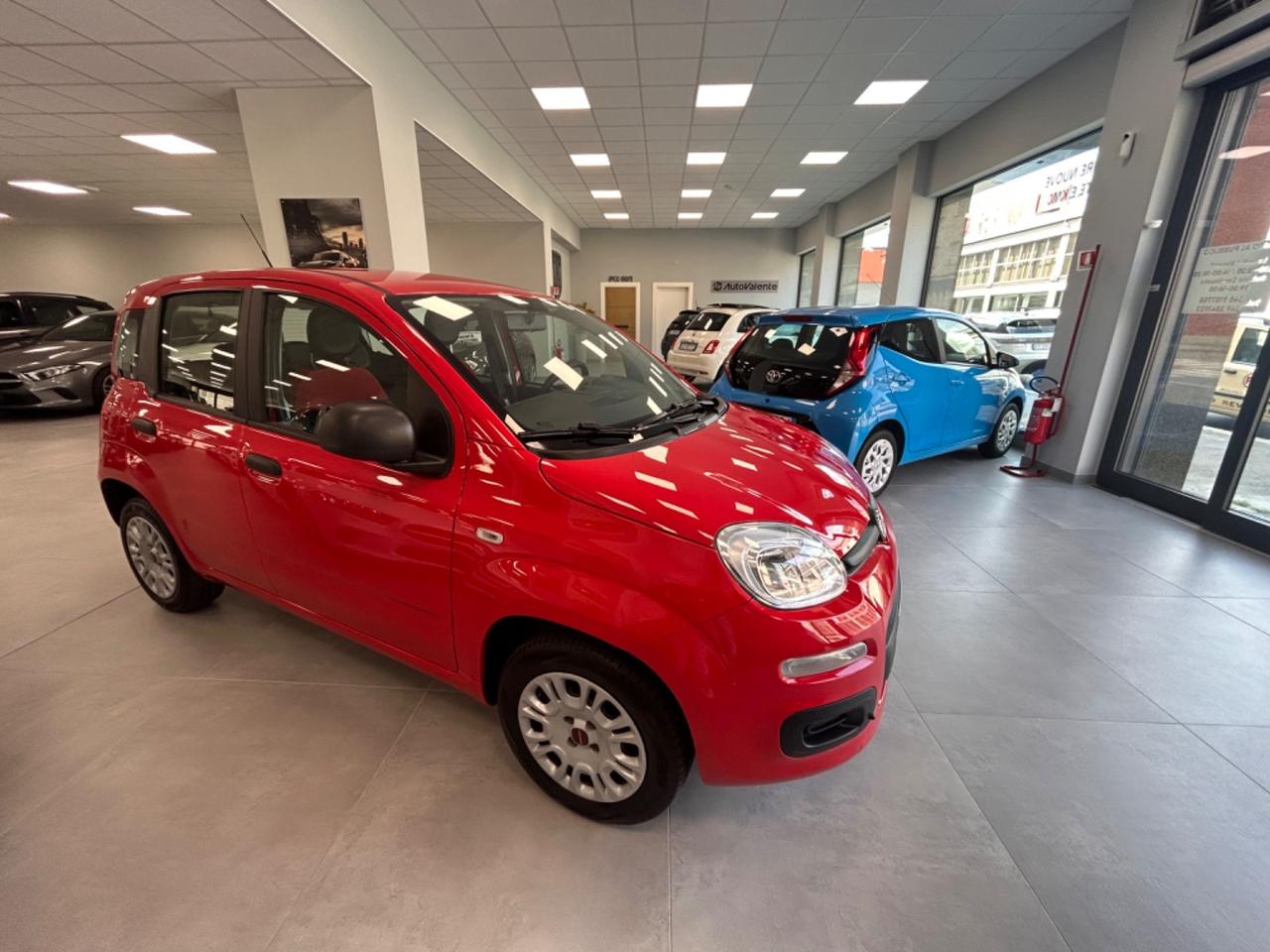 Fiat Panda Lounge 1.2 benzina 69cv 2019 km 91000