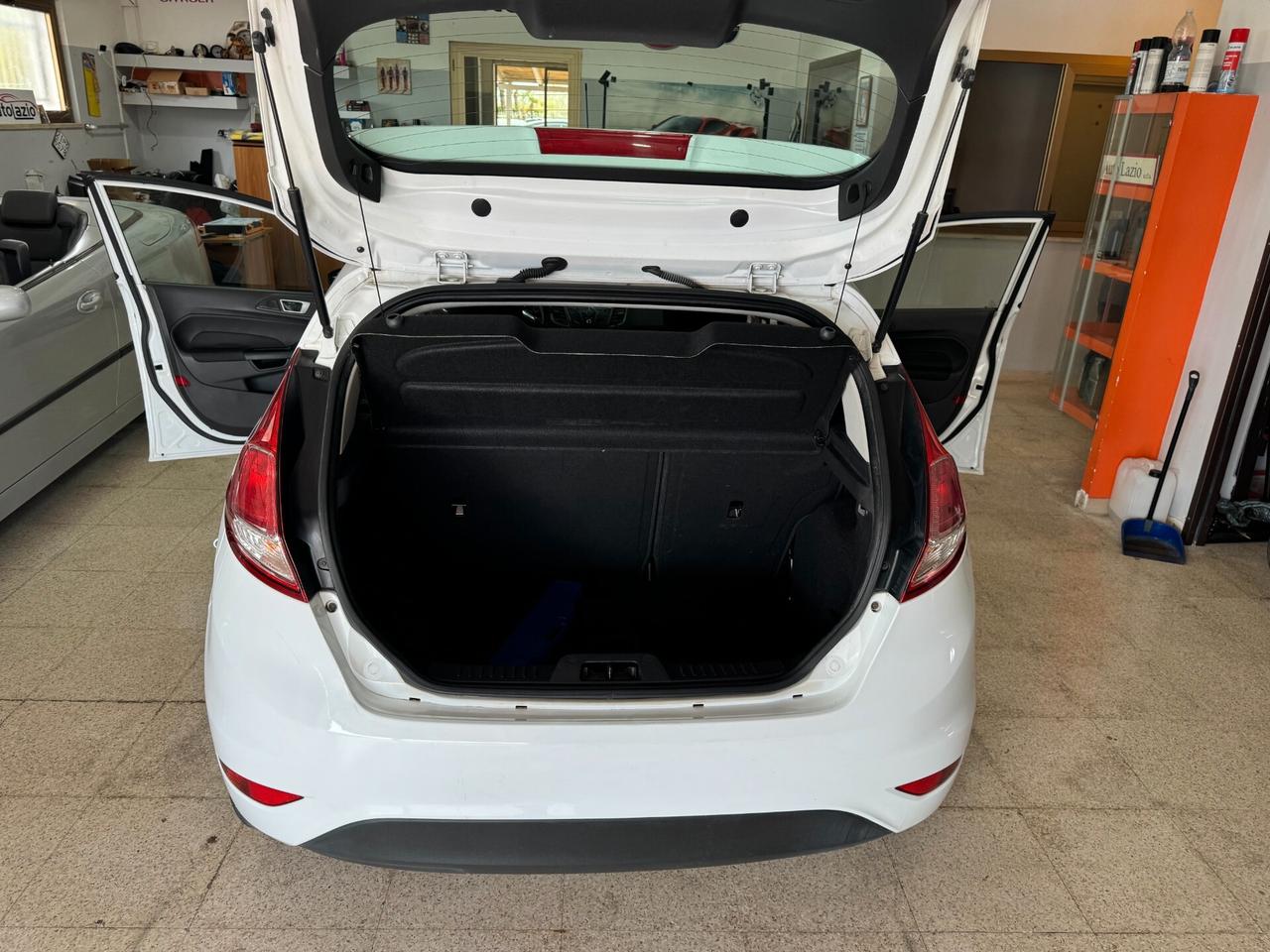 Ford Fiesta 1.4 5 porte Bz.- GPL Black & White Edition