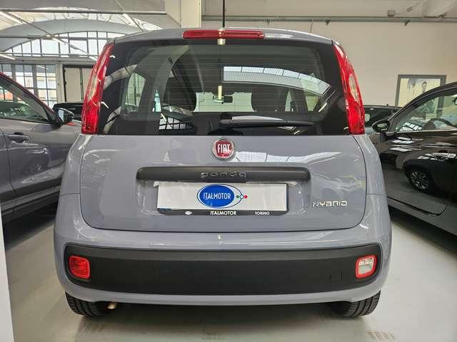 Fiat Panda Panda 1.0 hybrid Easy 70cv