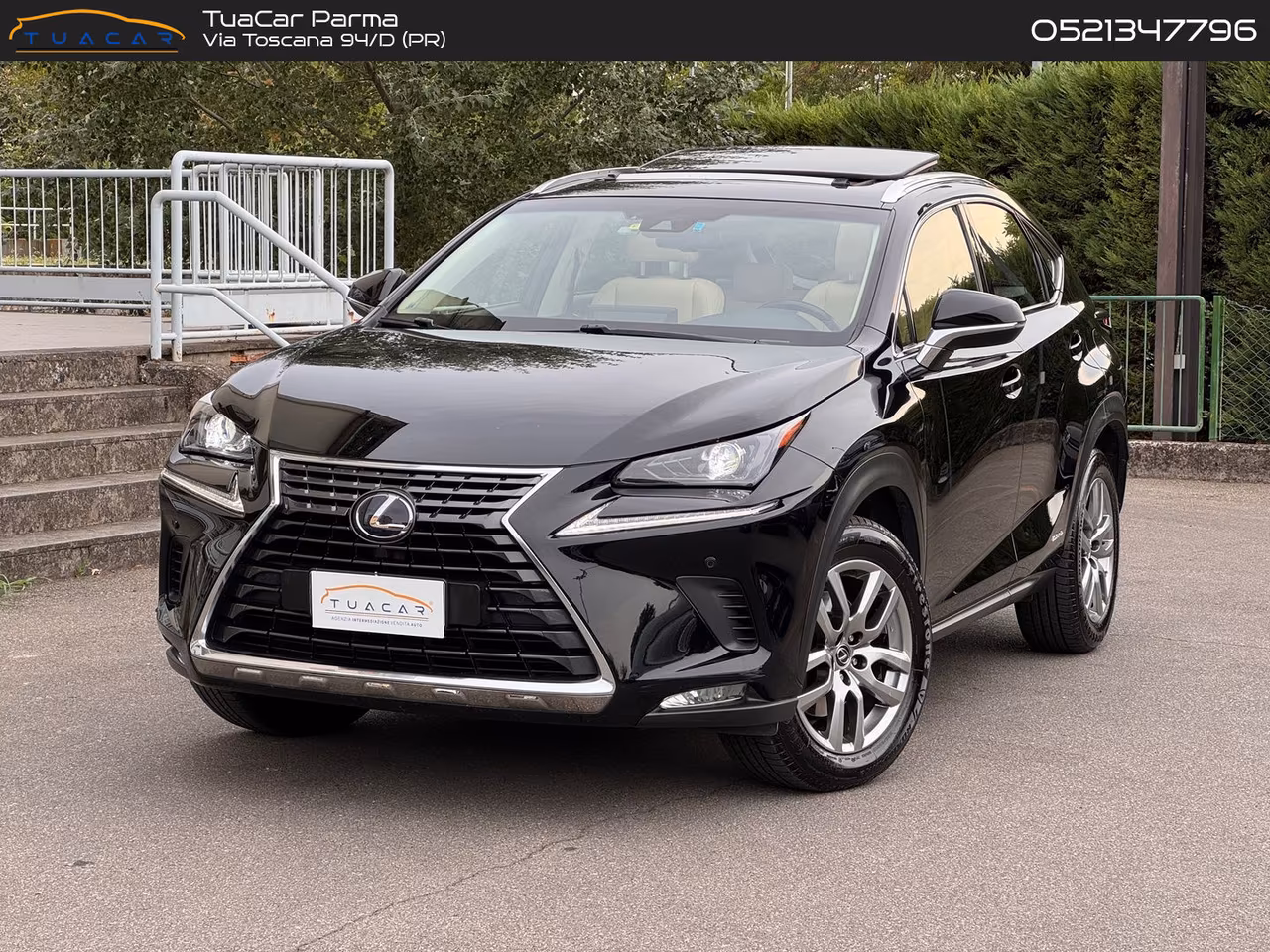 Lexus NX 300h Luxury NX 300h HEV #12039