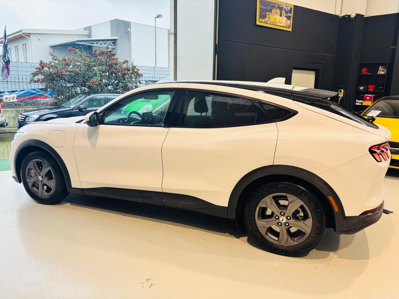 Ford Mustang Mach-E Elettrico Extended 294CV