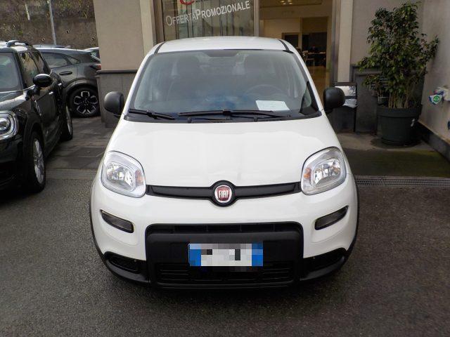 FIAT Panda MY25 - 1.0 FireFly Hybrid POP