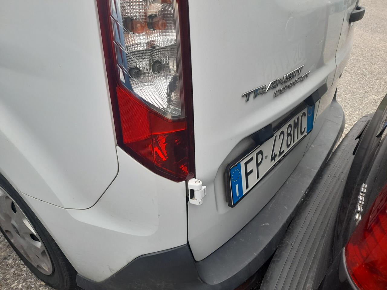 Ford transit cinghia rotta