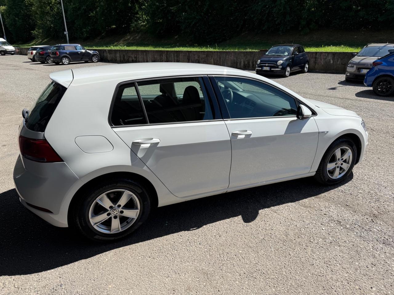 Volkswagen Golf Business 1.4 TGI 5p. Highline BlueMotion