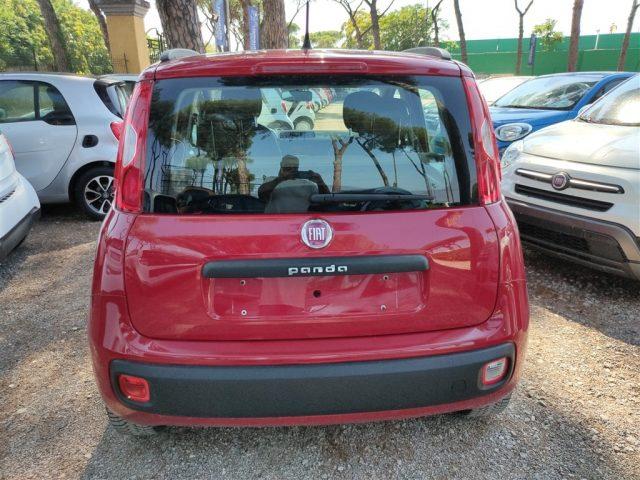 FIAT Panda 1.2 Easy 69cv OK NEOPATENTATI CLIMA MANUALE ..