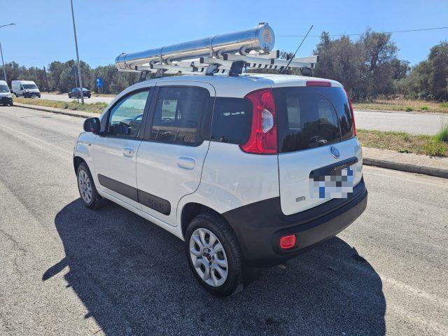FIAT Panda 1.3 MJT 4x4 Pop Climbing Van 2 posti ALLESTITA OFF