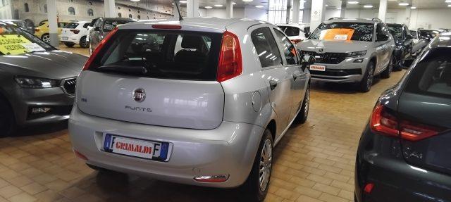 FIAT Punto 1.2 8V 5 porte Street