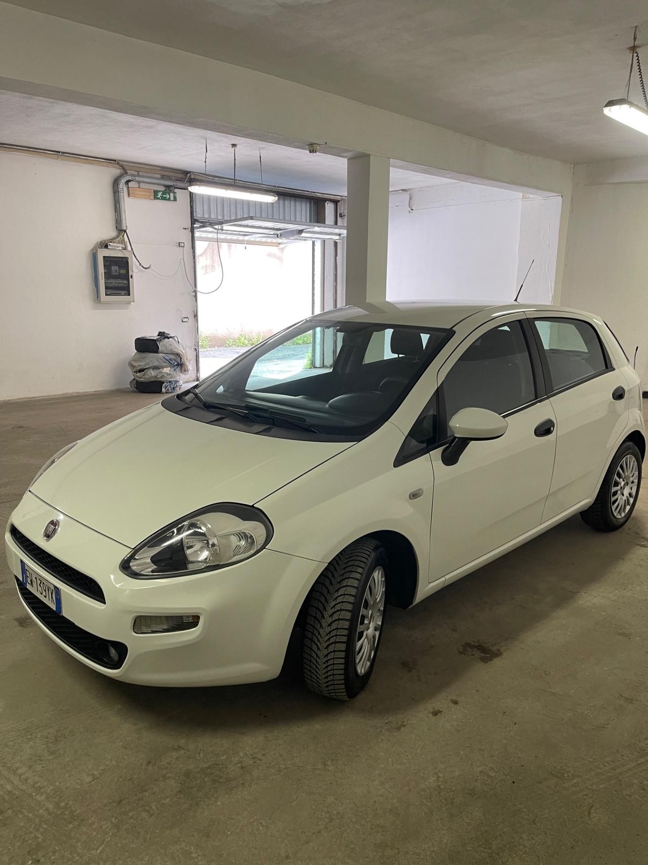 Fiat Punto 1.3 MJT II 75 CV 5 porte Street