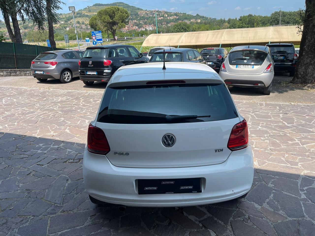Volkswagen Polo 1.6 TDI 90CV DPF 5 porte Highline NEO PATENTATI