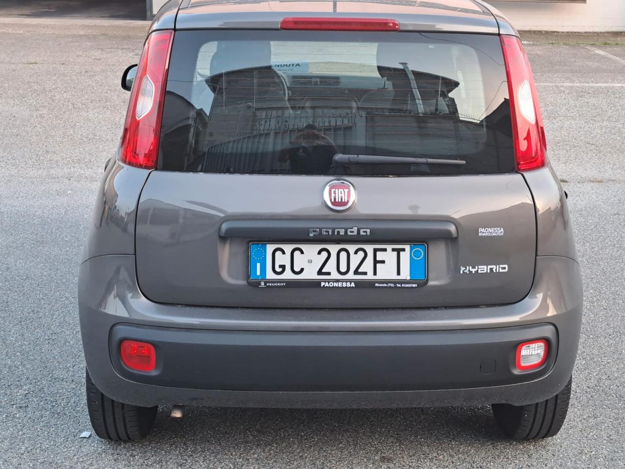 Fiat Panda 1.0 FireFly S&S Hybrid Easy Elettrica Benzina