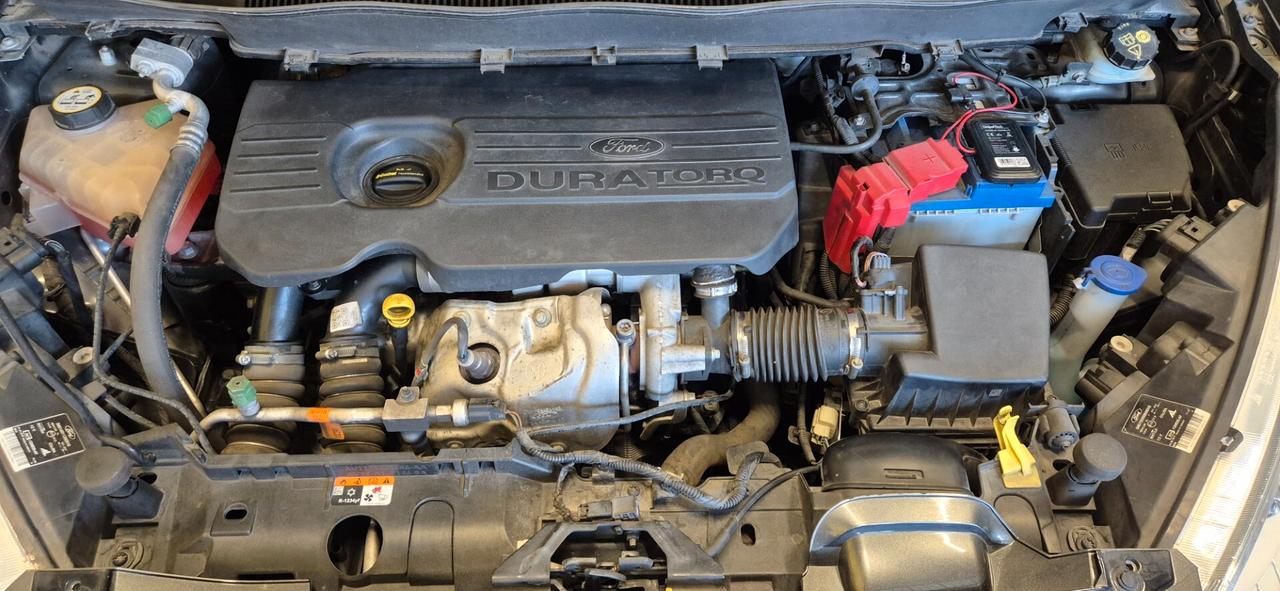 Ford B-Max 1.5 TDCi 75 CV Sport 2