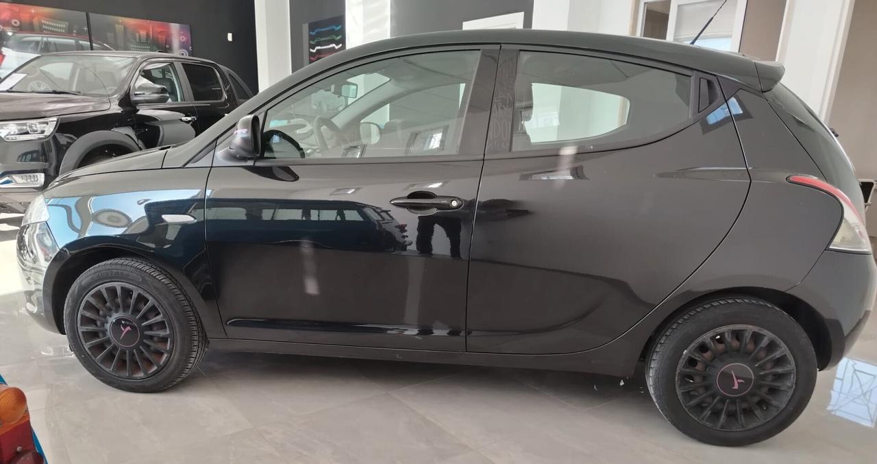 Lancia Ypsilon 1.2 69 CV 5 porte Elefantino