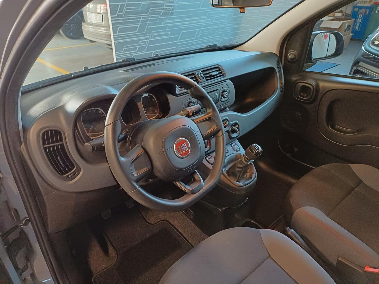 Fiat Panda 1.2 Easy 69CV *** OK NEOPATENTATI ***