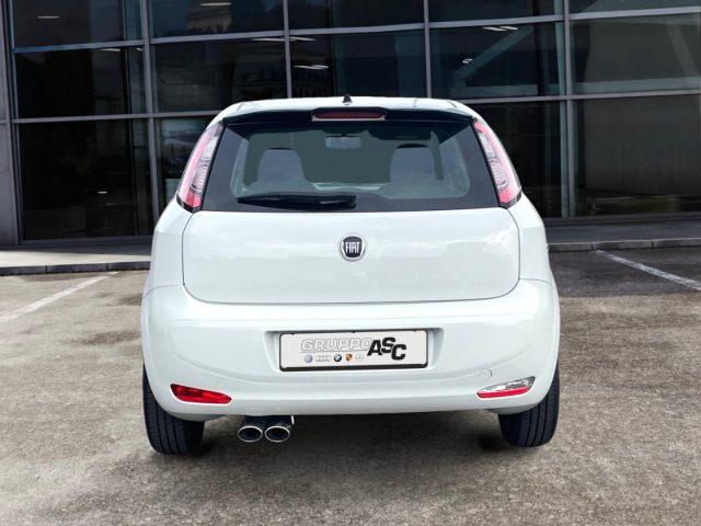 FIAT Punto 1.2 BENZ 69 CV 8V 3 porte Lounge
