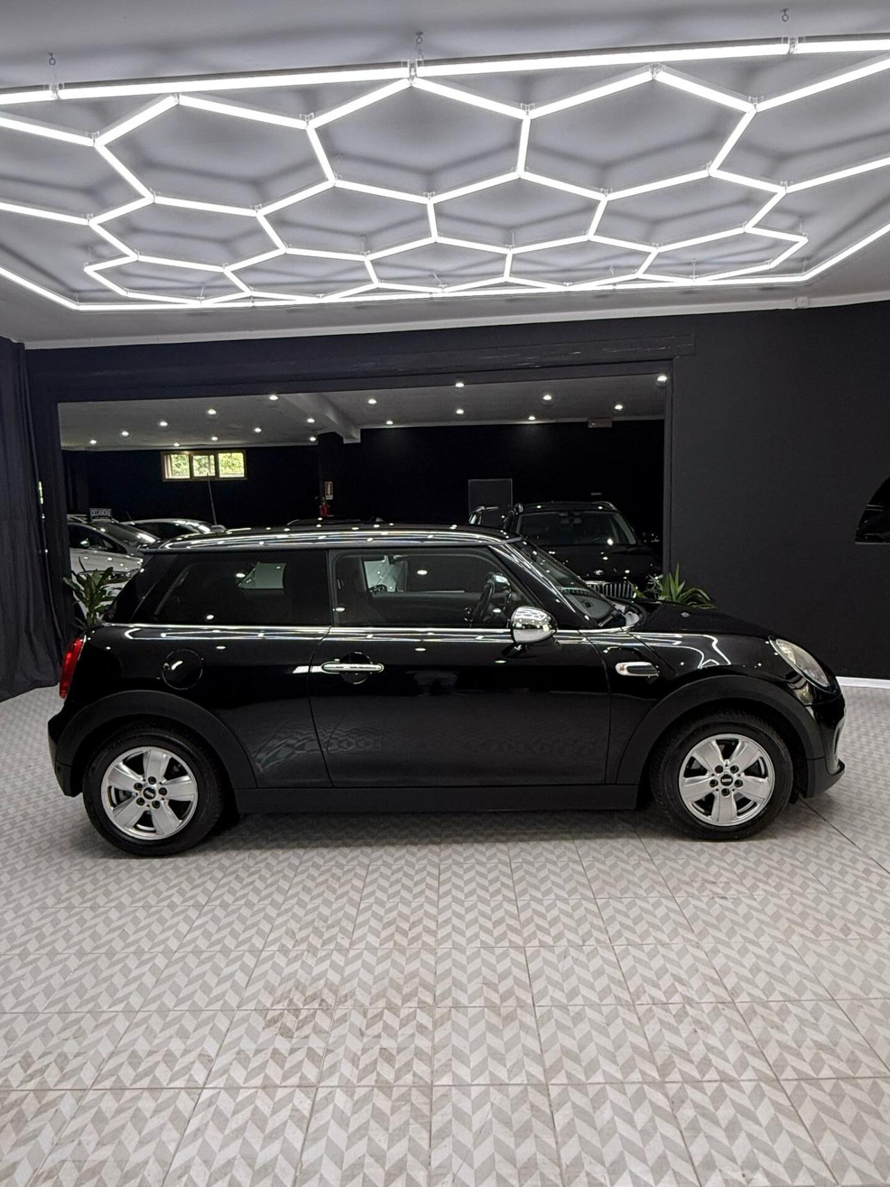 Mini Mini 1.5 One D
