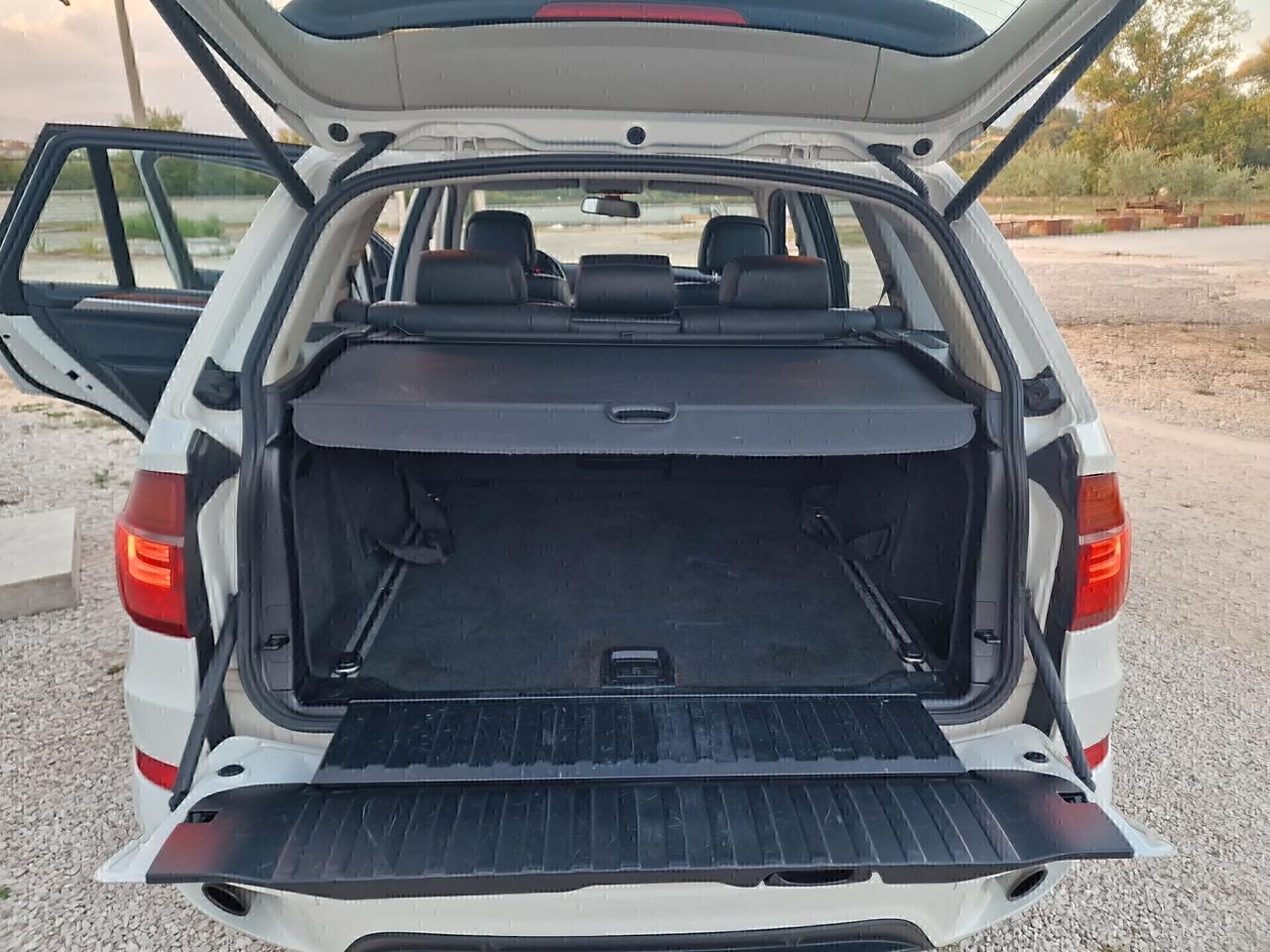 BMW X5 xDrive30d Futura - 2011