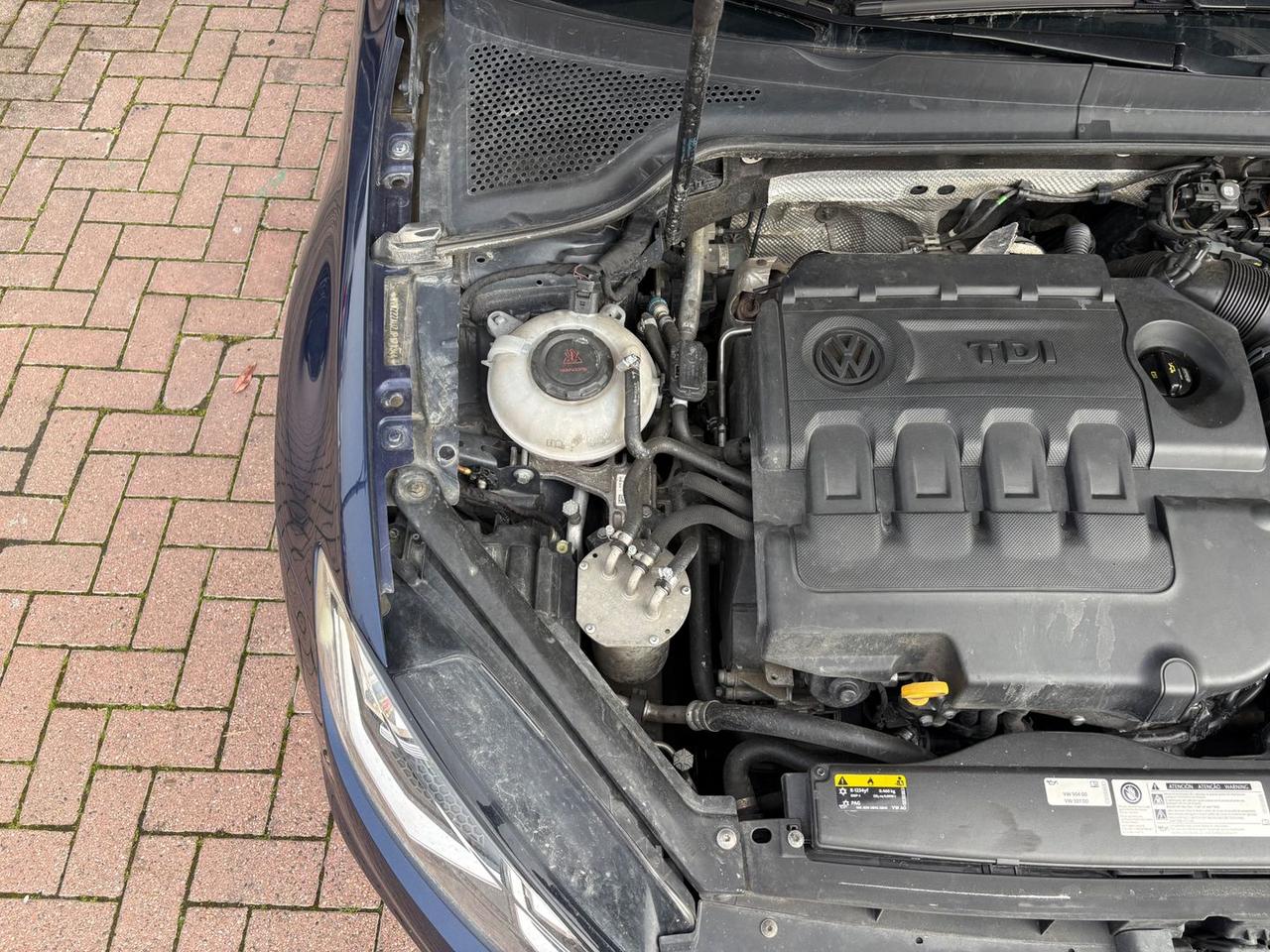 Volkswagen Golf Executive 2.0 TDI BlueMotion #9473