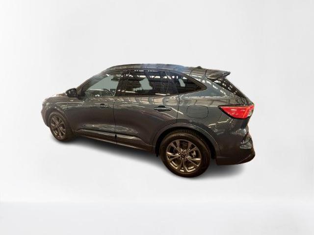 FORD Kuga 2.0 EcoBlue 120 CV aut. 2WD ST-Line X