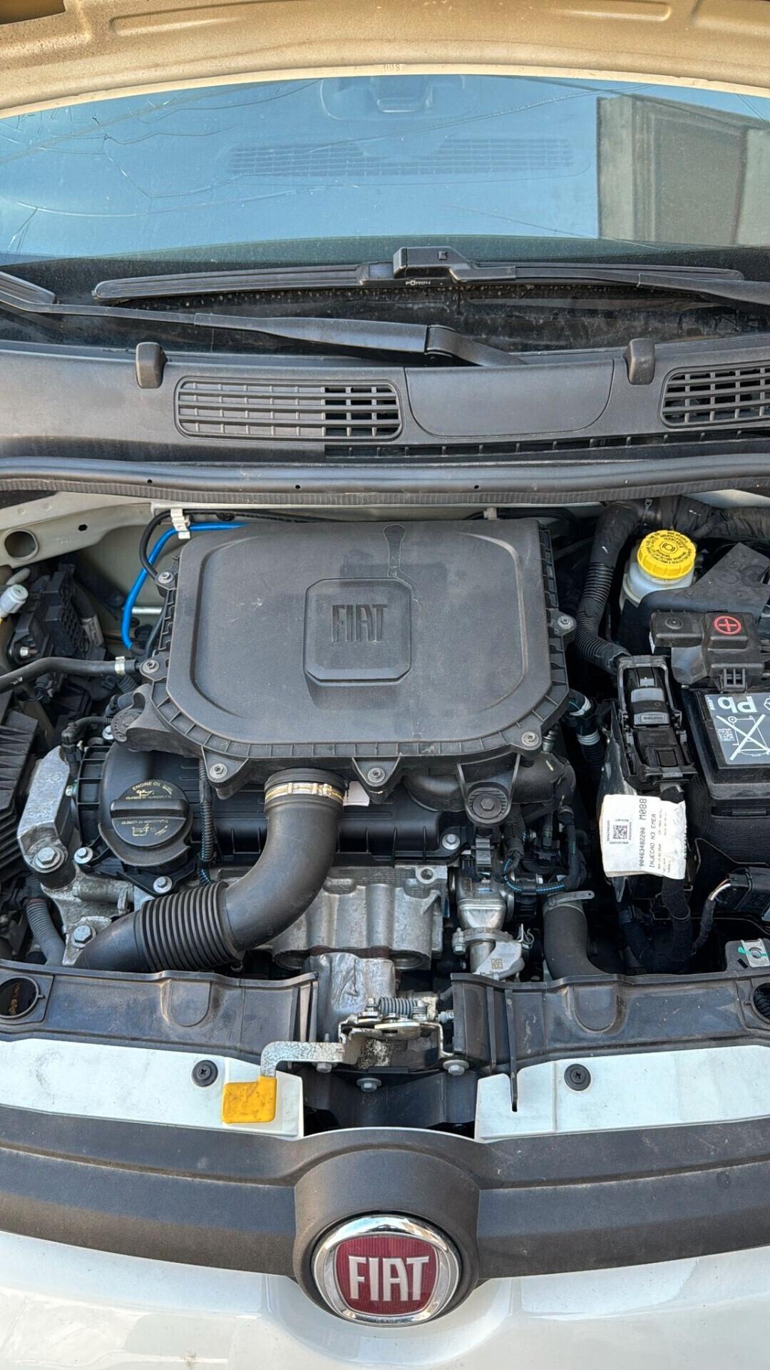 Fiat Panda 1.0 FireFly S&S Hybrid Elettrica - Benzina