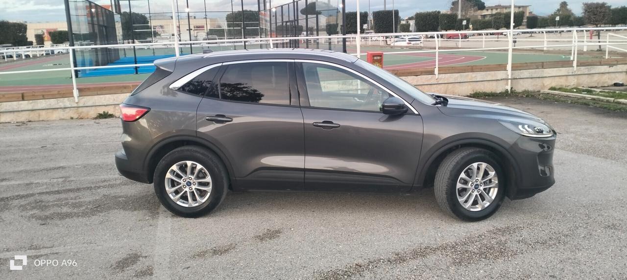 Ford Kuga 1.5 EcoBlue 120 CV aut. 2WD Connect