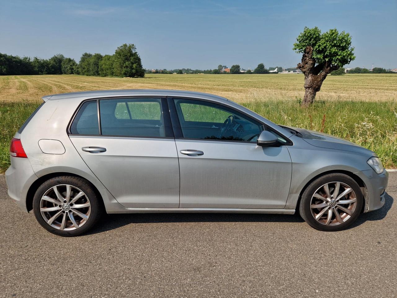 Volkswagen Golf Business 2.0 TDI DSG 5p. Highline BlueMotion Tech.