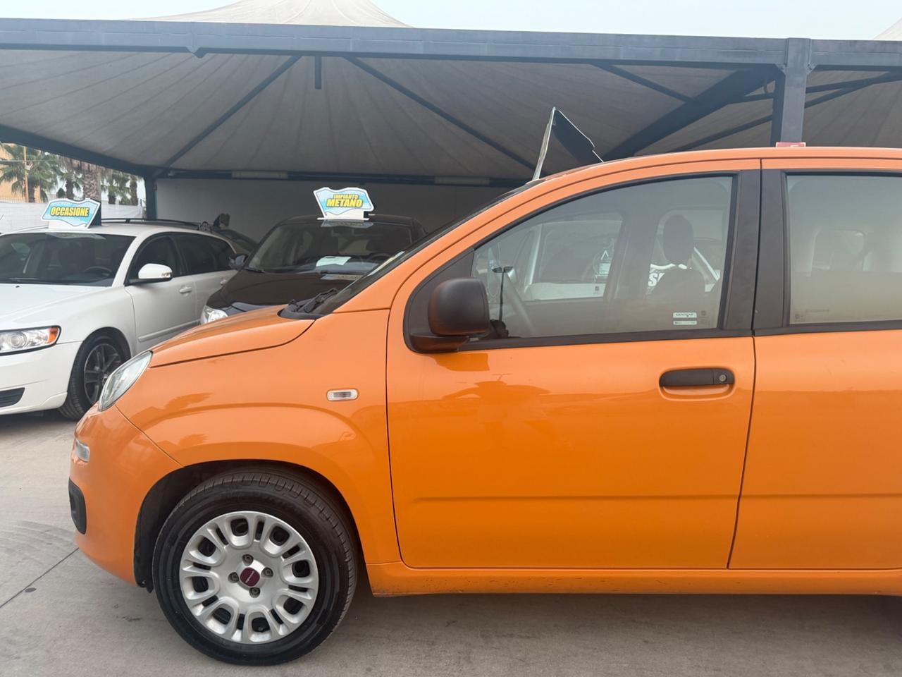 Fiat PANDA 1.2 GPL 2019 - NORD ITALIA