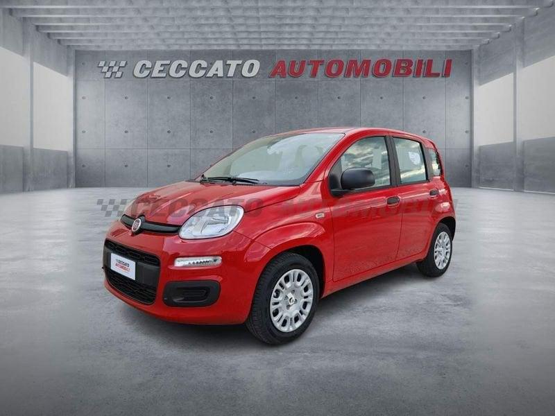 FIAT Panda Panda 1.0 70cv Hybrid Pop