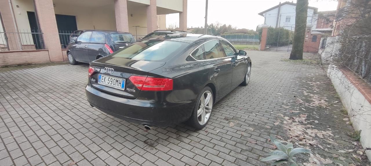 Audi A5 SPB 2.7 V6 TDI F.AP. multitronic