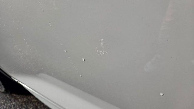 SKODA Kodiaq 2.0 TDI SCR 190 CV 4x4 DSG SportLine PERMUTE TETTO