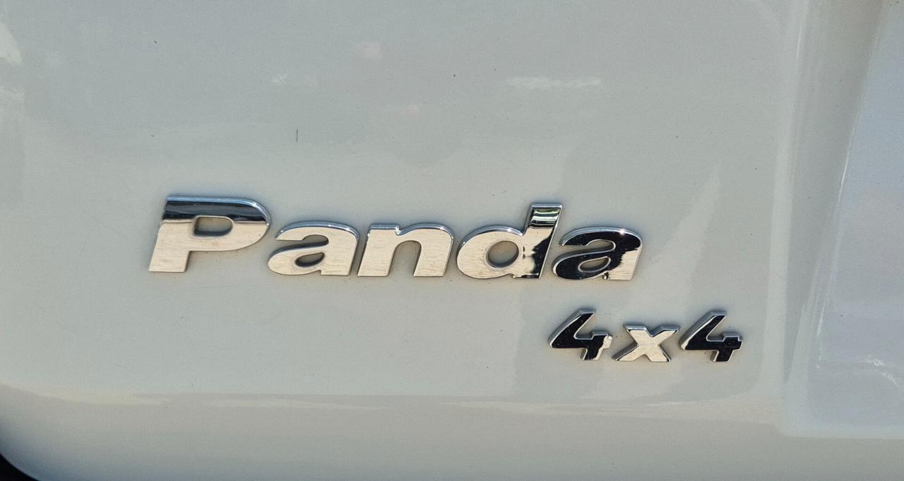 Fiat Panda 1.3 MJT 16V DPF Dynamic 4X4
