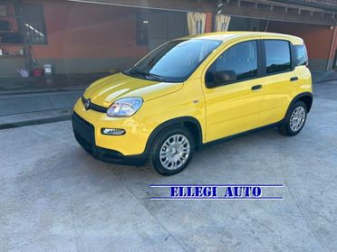 FIAT Panda PROMO FINANZ.PANDINA 1.0 Hybrid KM 0