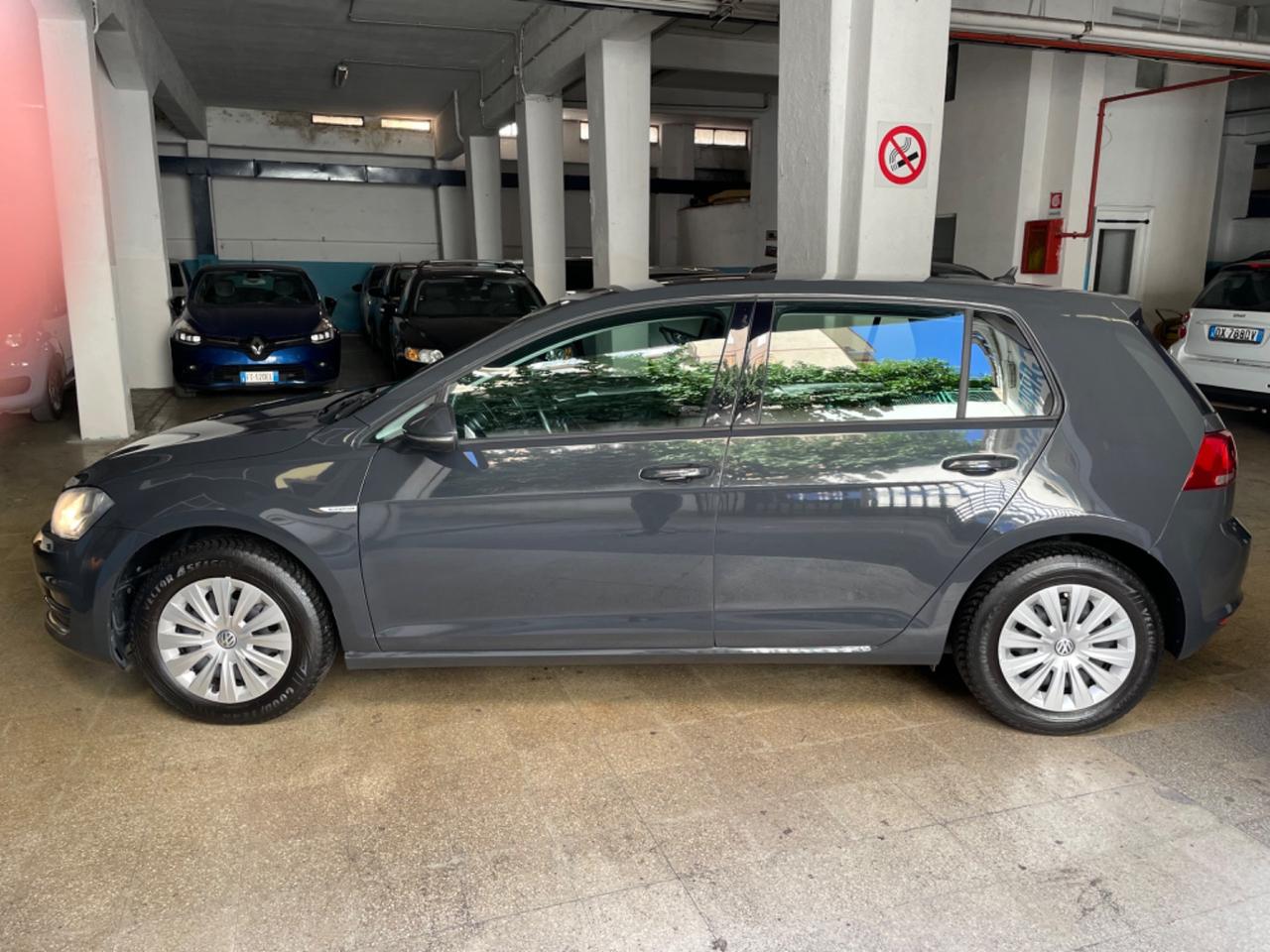 Volkswagen Golf 1.4 TGI 5p. Trendline BlueMotion