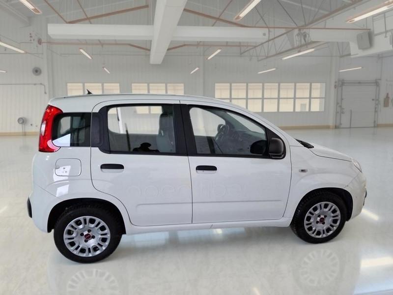 FIAT PANDA 1.2 69 CV E6 EASY 5 PORTE BERLINA